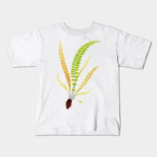Feather fern botanical illustration Kids T-Shirt